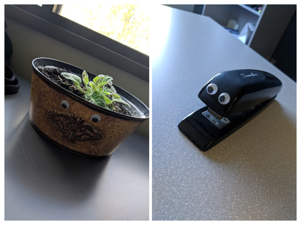 Googly eyes on potted plant and stapler